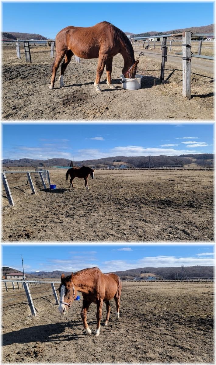 b24ddfbb8c4bee838aec454d5888c259-1773630727.jpg b24ddfbb8c4bee838aec454d5888c259-1773630727.jpg